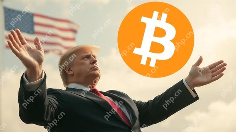 特朗普关税政策对比特币矿工的压力，Braiins高管的视角