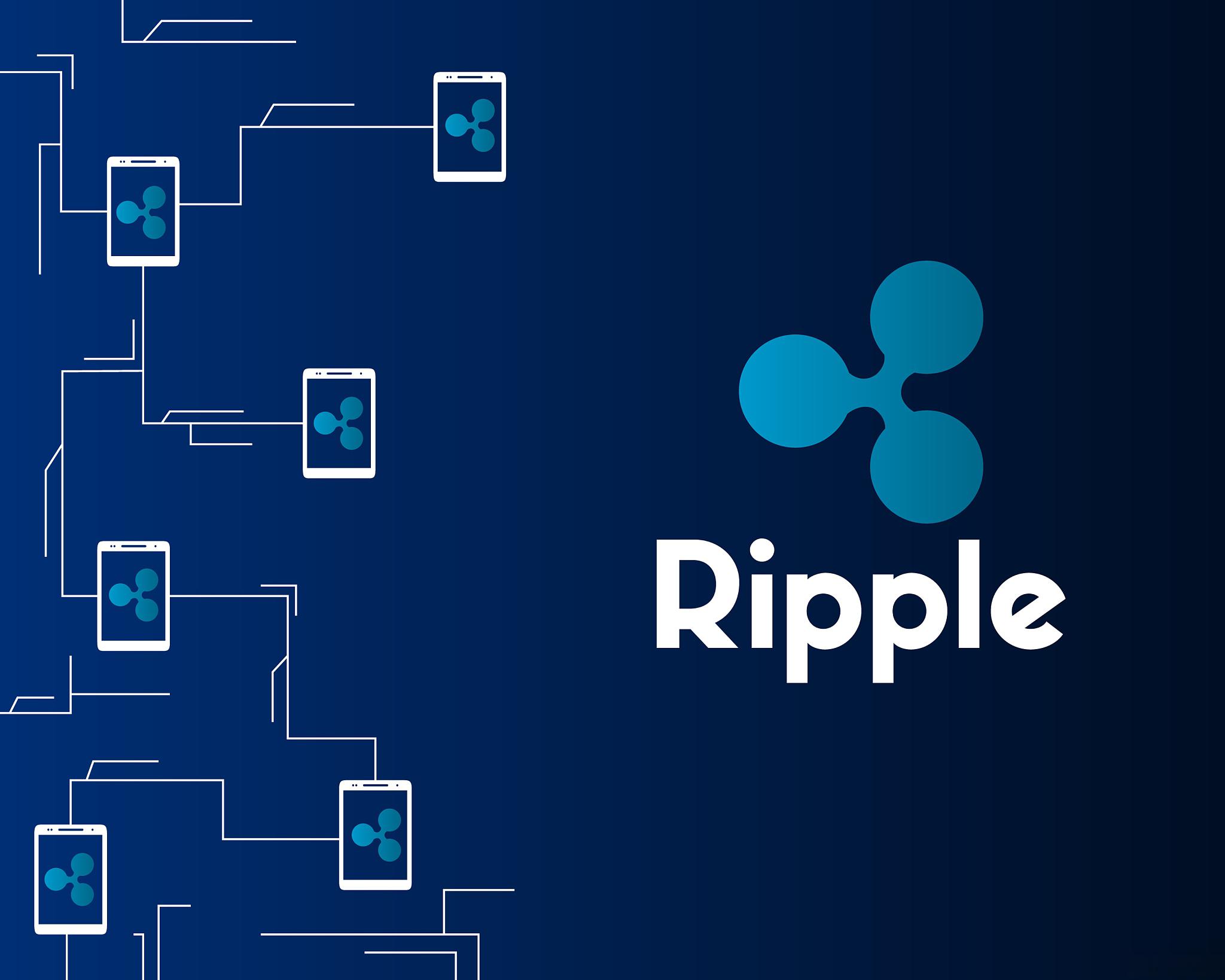 Ripple公司向美国学校非营利组织捐赠巨额资金，慷慨之举助力教育事业发展
