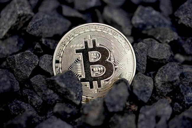 萨尔瓦多比特币企业运营现状，注册企业仅11%在运营中