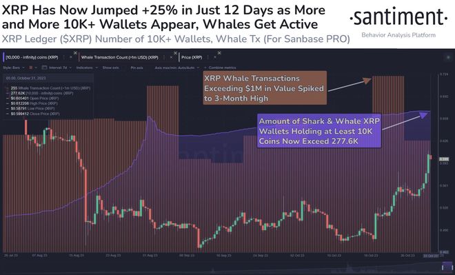 Ripple与BDACS携手合作，韩国推出XRP和RLUSD托管服务