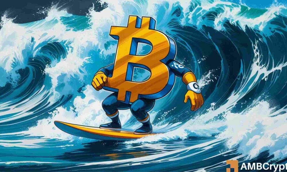 风险投资家预警，比特币新一季下跌趋势或将更加严峻